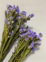 Статиця блакитна сухоцвіт 10 шт - Статиця