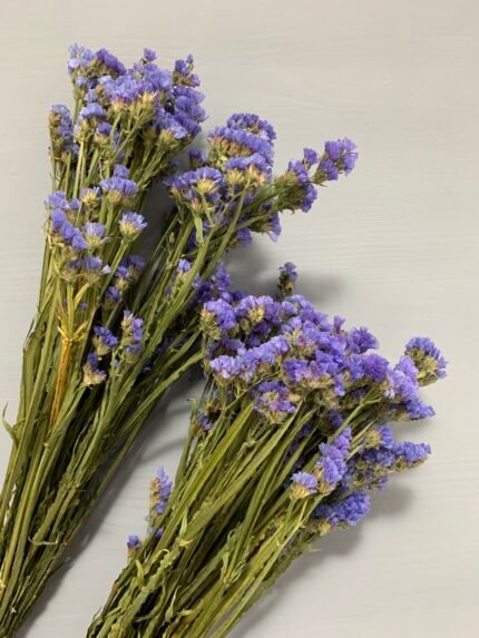 Статиця блакитна сухоцвіт 10 шт - Статиця