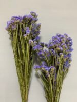 Статиця блакитна сухоцвіт 10 шт - Статиця