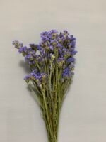 Статиця блакитна сухоцвіт 10 шт - Статиця