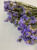 Статиця блакитна сухоцвіт 10 шт - Статиця