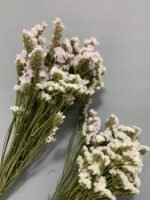 Статиця біла сухоцвіт ( 10 шт ) - Статиця