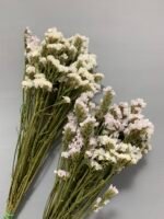 Статиця біла сухоцвіт ( 10 шт ) - Статиця