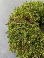 Вінок з моху (29 см) - Основи для композицій і декору