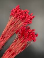 Фаляріс бургунді (90 гр) - Фаляріс