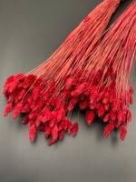 Фаляріс бургунді (90 гр) - Фаляріс