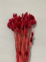 Фаляріс бургунді (90 гр) - Фаляріс