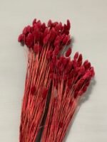 Фаляріс бургунді (90 гр) - Фаляріс