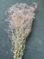 Гіпсофіла міні світло рожева - Гіпсофіла стабілізована