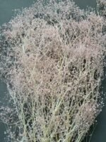 Гіпсофіла міні світло рожева - Гіпсофіла стабілізована