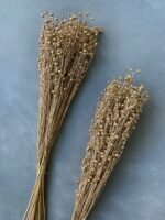 Льон золотий (50 гр) - Льон