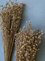 Льон золотий (50 гр) - Льон