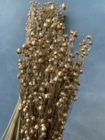 Льон золотий (50 гр) - Льон