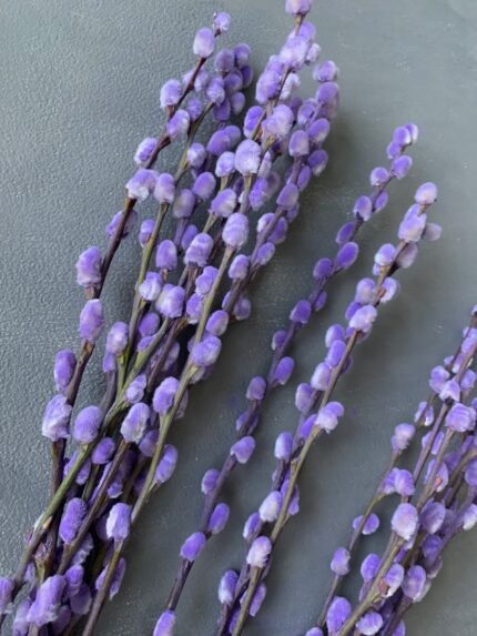 Гілки верби, бузкові (10 шт) - Гілки