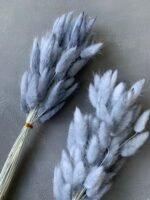 Лагурус сірий (60 шт) - Лагурус