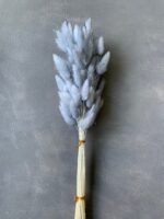 Лагурус сірий (60 шт) - Лагурус