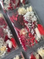 Набір для творчості бежево-червоний