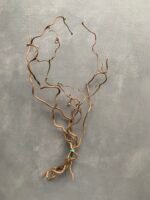 Корилус 2 роки  / 50 см / 5 гілок - Гілки