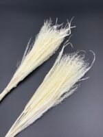 Просо волосовидне вибілене - Панікум