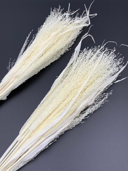 Просо волосовидне вибілене - Панікум