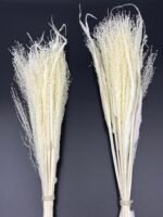 Просо волосовидне вибілене - Панікум