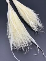 Просо волосовидне вибілене - Панікум