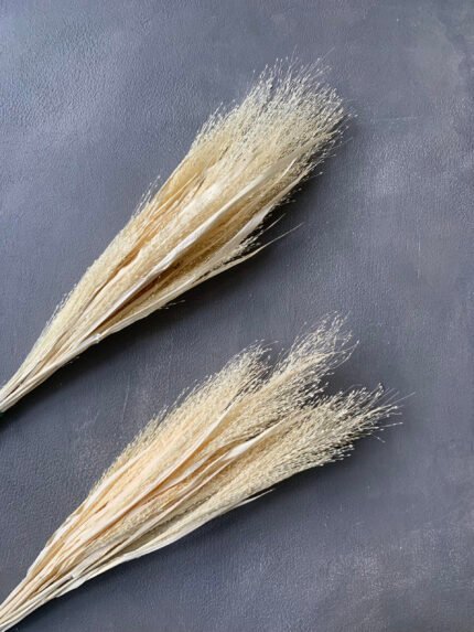 Просо волосовидне вибілене - Панікум