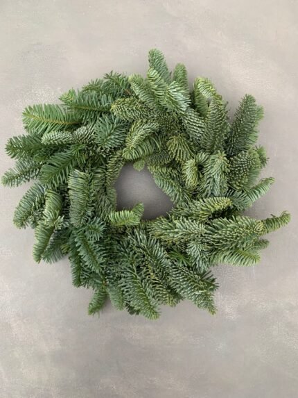 Вінок з гілок НОБІЛІС 26 см - Основи для композицій і декору