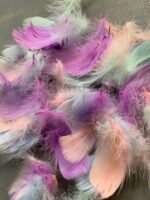 Пір'я мікс 100 шт - Пір'я