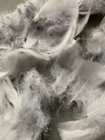 Пір'я світло сірі 100 шт - Пір'я