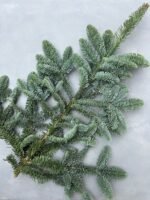 Гілка нобіліса (70 см) - Основи для композицій і декору