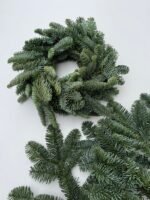 Вінок з гілок НОБІЛІС 26 см - Основи для композицій і декору