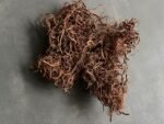 Мох кручений натуральний (100 гр) - Флористичний декор
