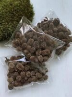 Шишки Казуаріна натуральні 100 гр - Дрібний декор ( шишки)