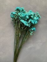 Ахілея Птарміка блакитна (10 гілок) - Ахілея Птарміка