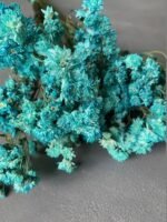 Ахілея Птарміка блакитна (10 гілок) - Ахілея Птарміка
