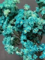 Ахілея Птарміка блакитна (10 гілок) - Ахілея Птарміка