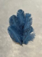 Пір'я королівсько сині 20-25 см ( 5 шт) - Пір'я