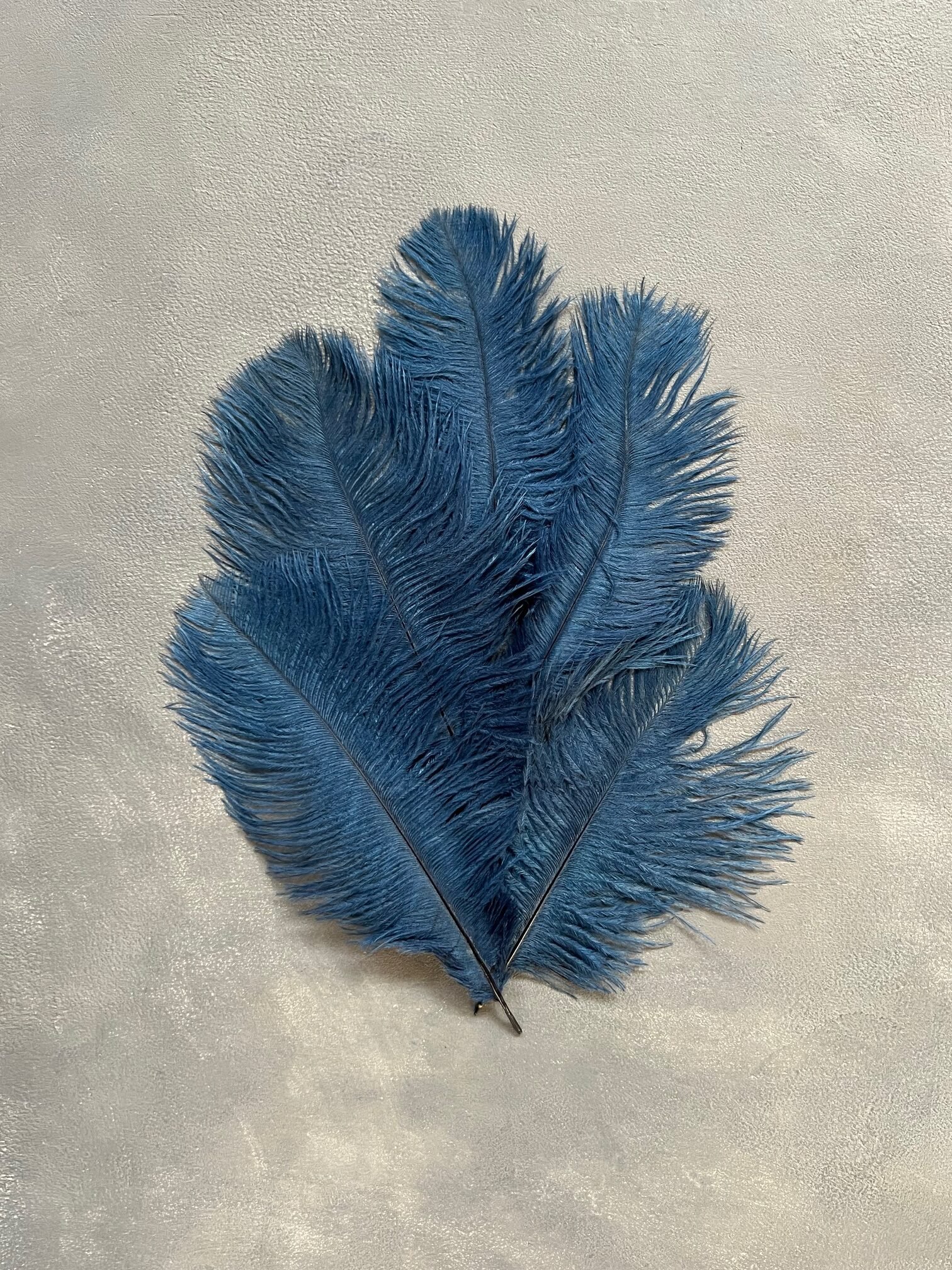 IMG_4776 Пір'я королівсько сині 20-25 см ( 5 шт) - Пір'я