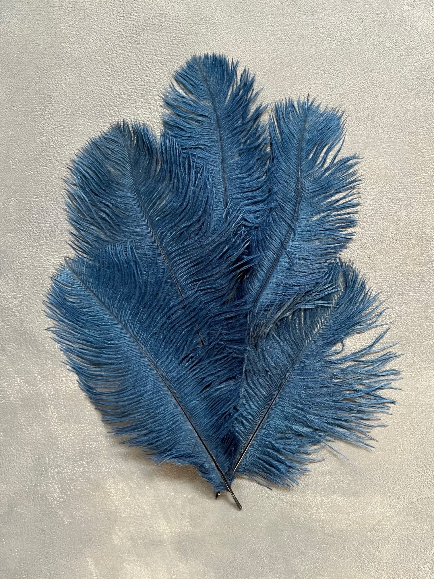 IMG_4777 Пір'я королівсько сині 20-25 см ( 5 шт) - Пір'я