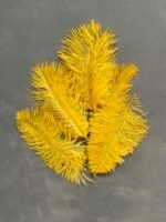 Пір'я жовті 20-25 см ( 5 шт) - Пір'я