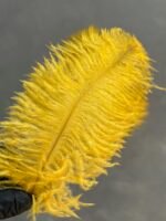 Пір'я жовті 20-25 см ( 5 шт) - Пір'я