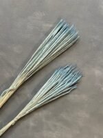 Флум натуральний блакитний - Сетарія