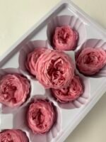 Роза Остін рожева - Троянда стабілізована півоноїдна 4-5 см