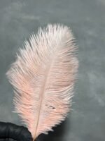 Пір'я персик 15-20 см (5 шт) - Пір'я