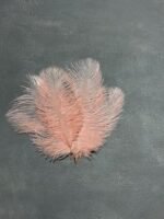 Пір'я персик 15-20 см (5 шт) - Пір'я