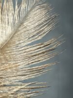 Пір'я коричневі 15-20 см (5 шт) - Пір'я