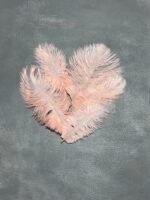 Пір'я персик 15-20 см (5 шт) - Пір'я