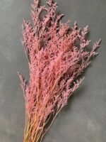 Лімоніум рожевий (50 гр) - Лімоніум