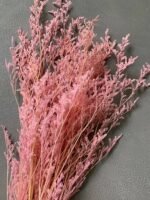 Лімоніум рожевий (50 гр) - Лімоніум